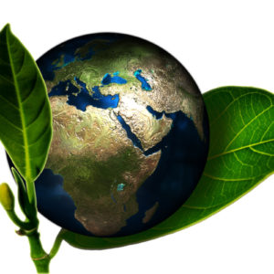 Ogólnopolski Konkurs Ekologiczny „Eko – planeta”