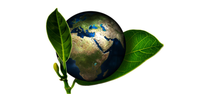 „Ratujmy planetę”